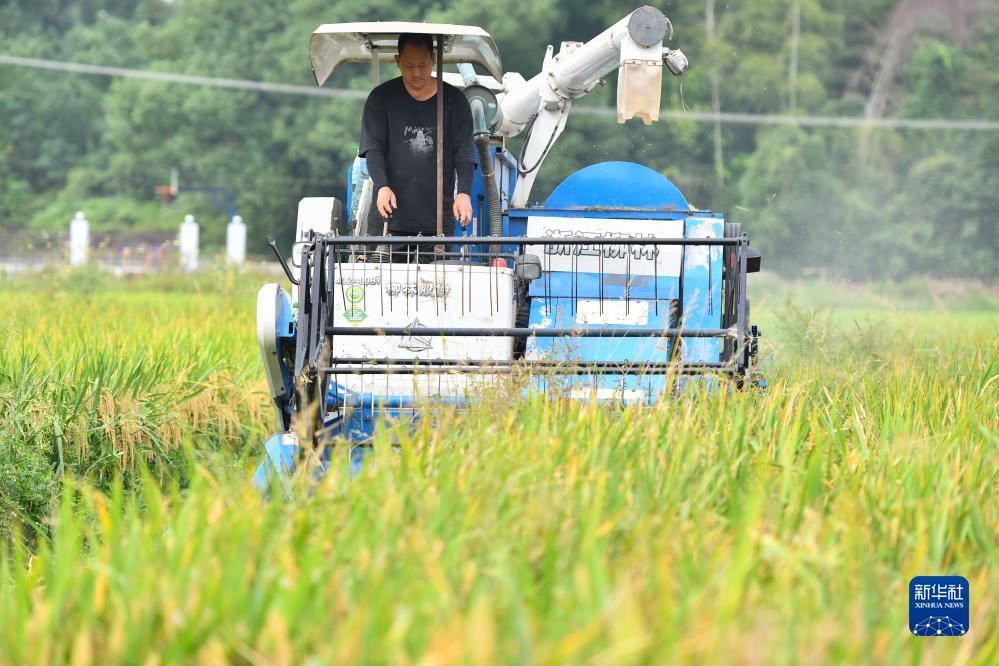 2025最新开户送体验金68